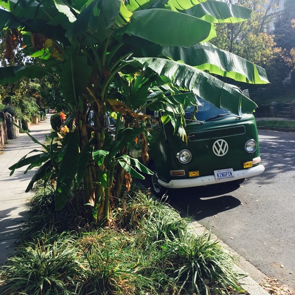 Meet your Posher, Danielle - Picture 1 of 1